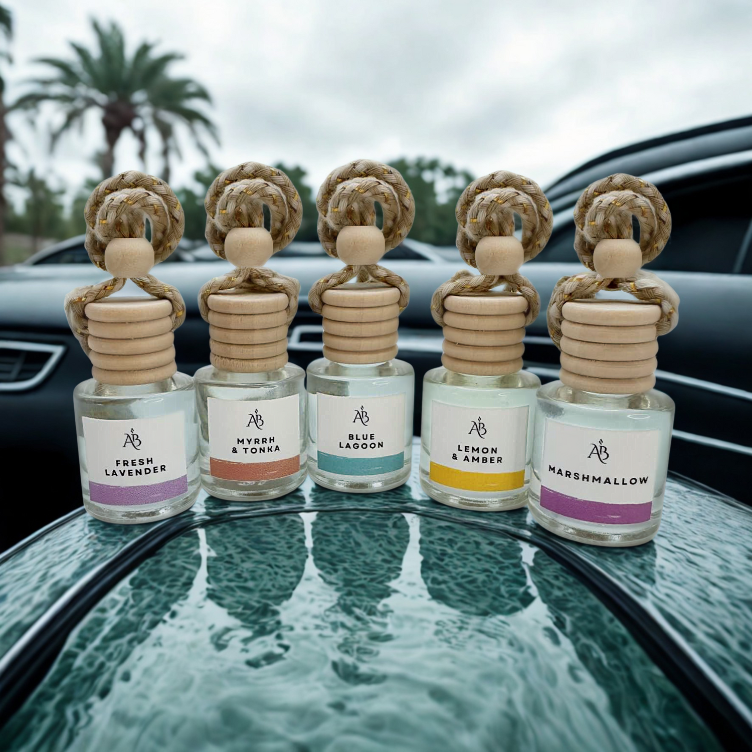 Car Diffuser